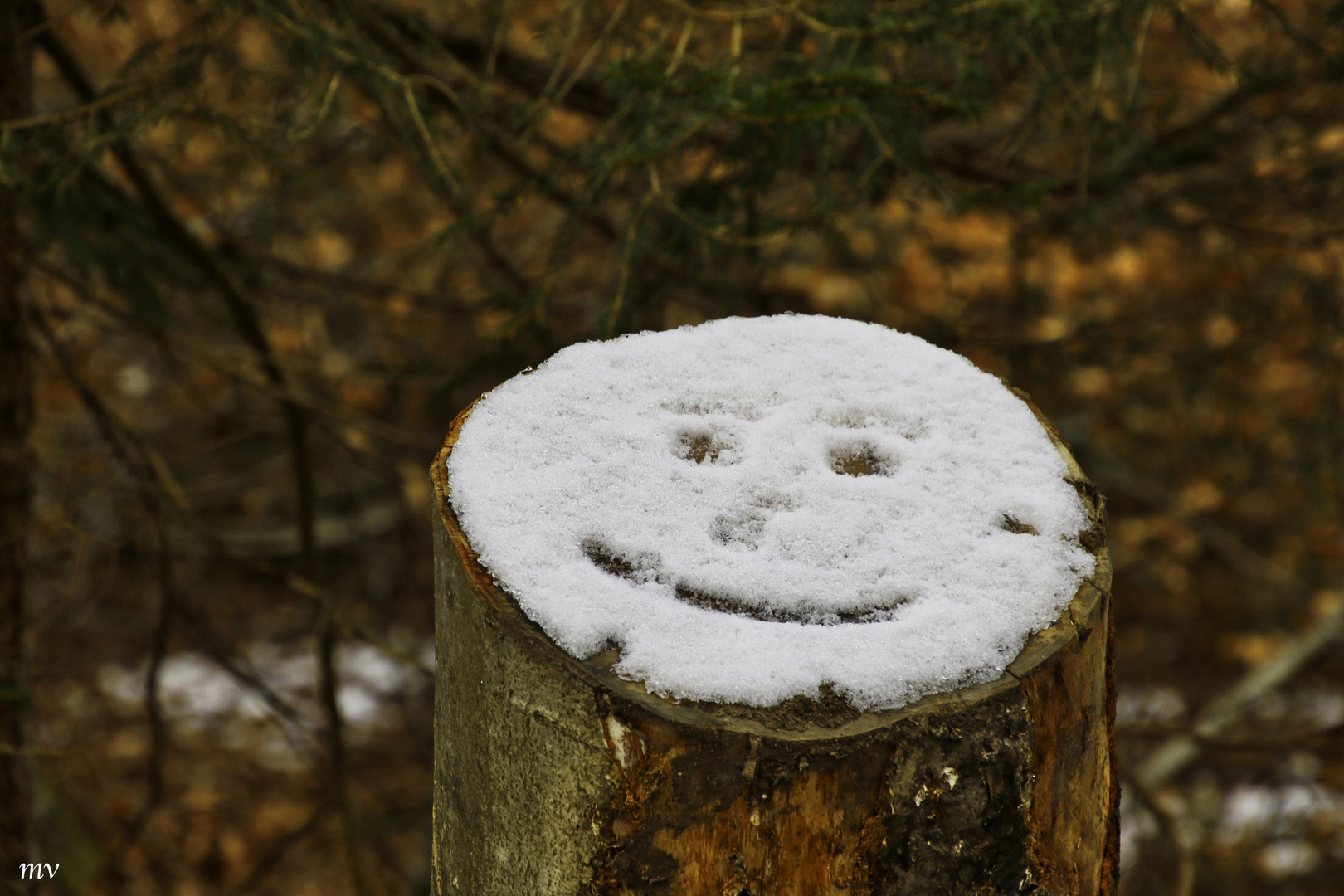 die freundliche Seite des Winters