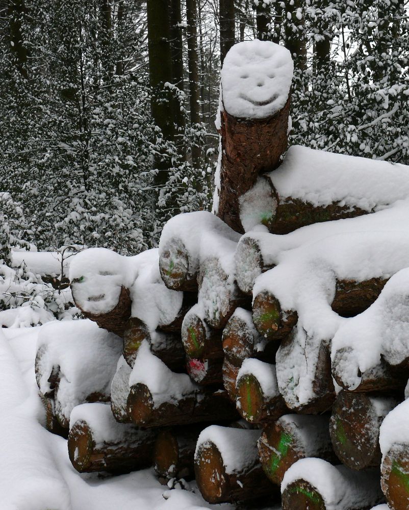 Die freundlichen Gesichter des Winters