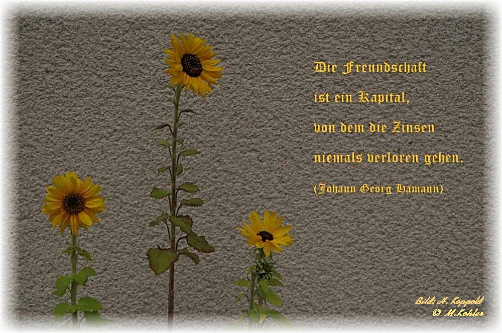 Die Freundschaft