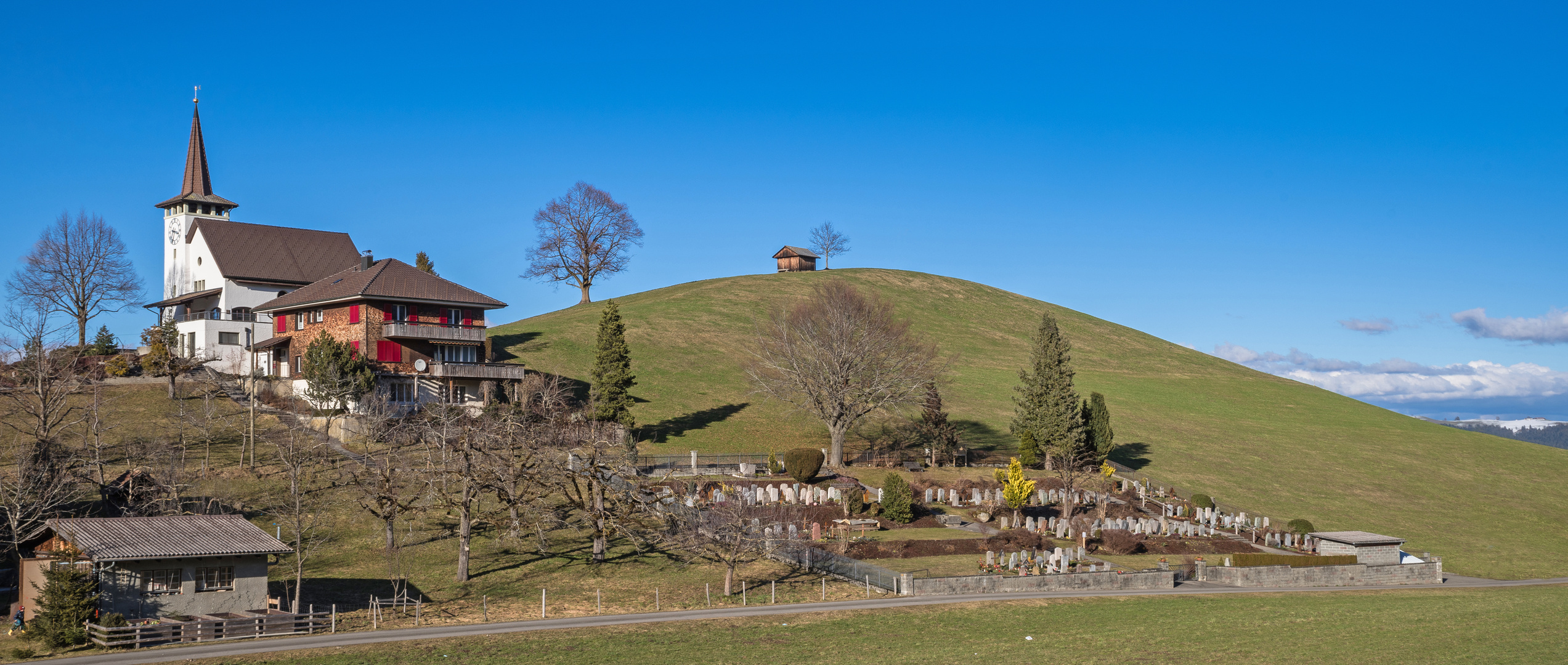 Die Friedenslinde