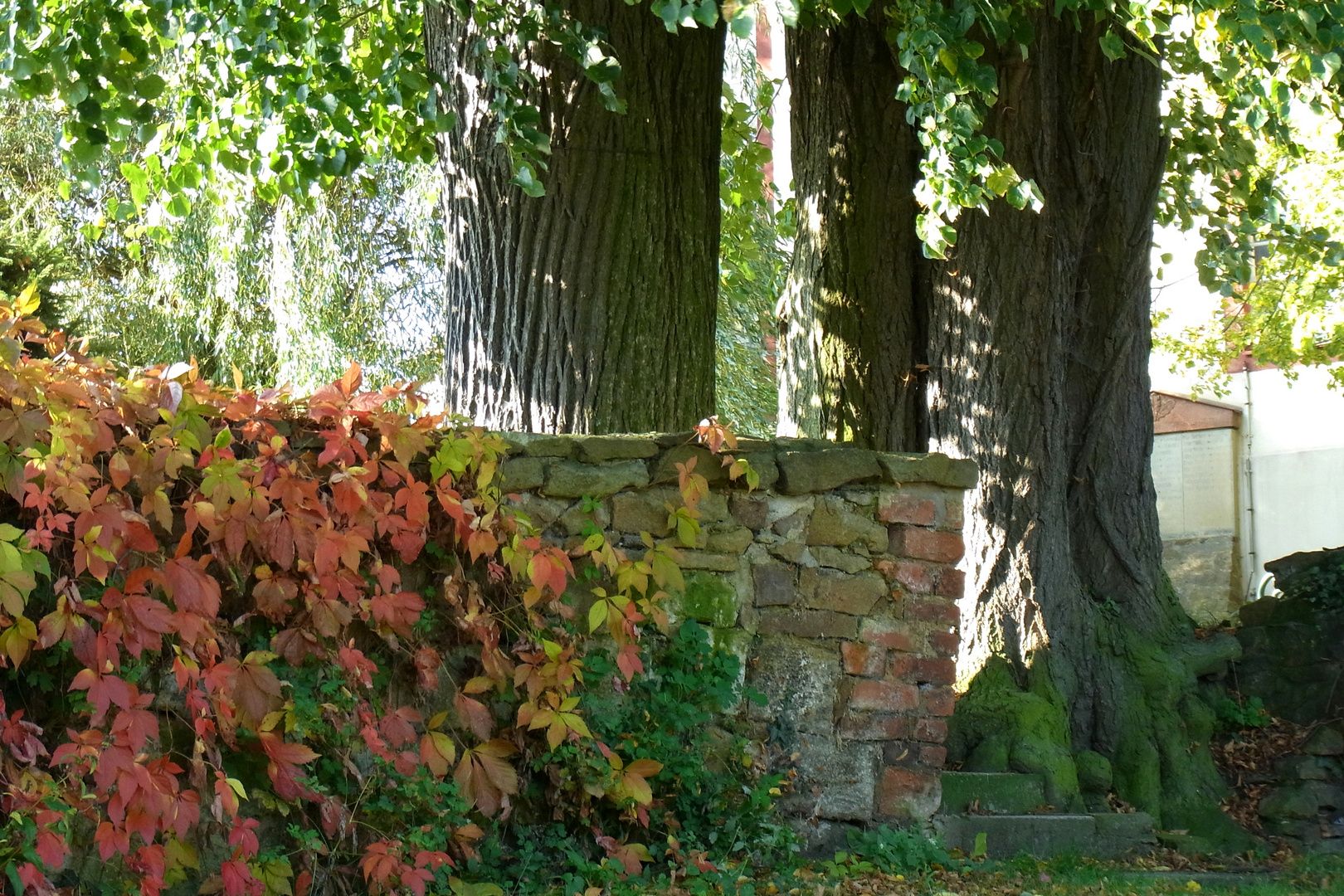 Die Friedhofsmauer zum Pfarrgarten