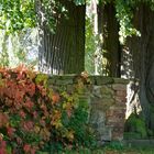 Die Friedhofsmauer zum Pfarrgarten