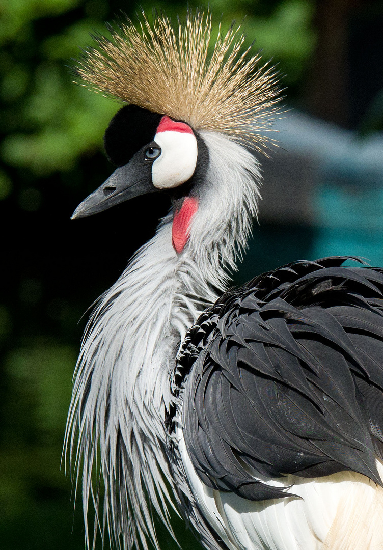 Die Frisur Sitzt Werbung : Die Frisur Sitzt Foto &amp; Bild