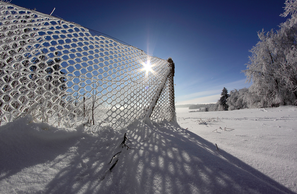 Die Frostgrenze