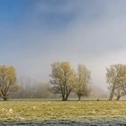 Die frostig schöne Seite des Frühlings