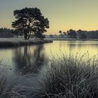 Die frostige Landschaft am frühen Morgen