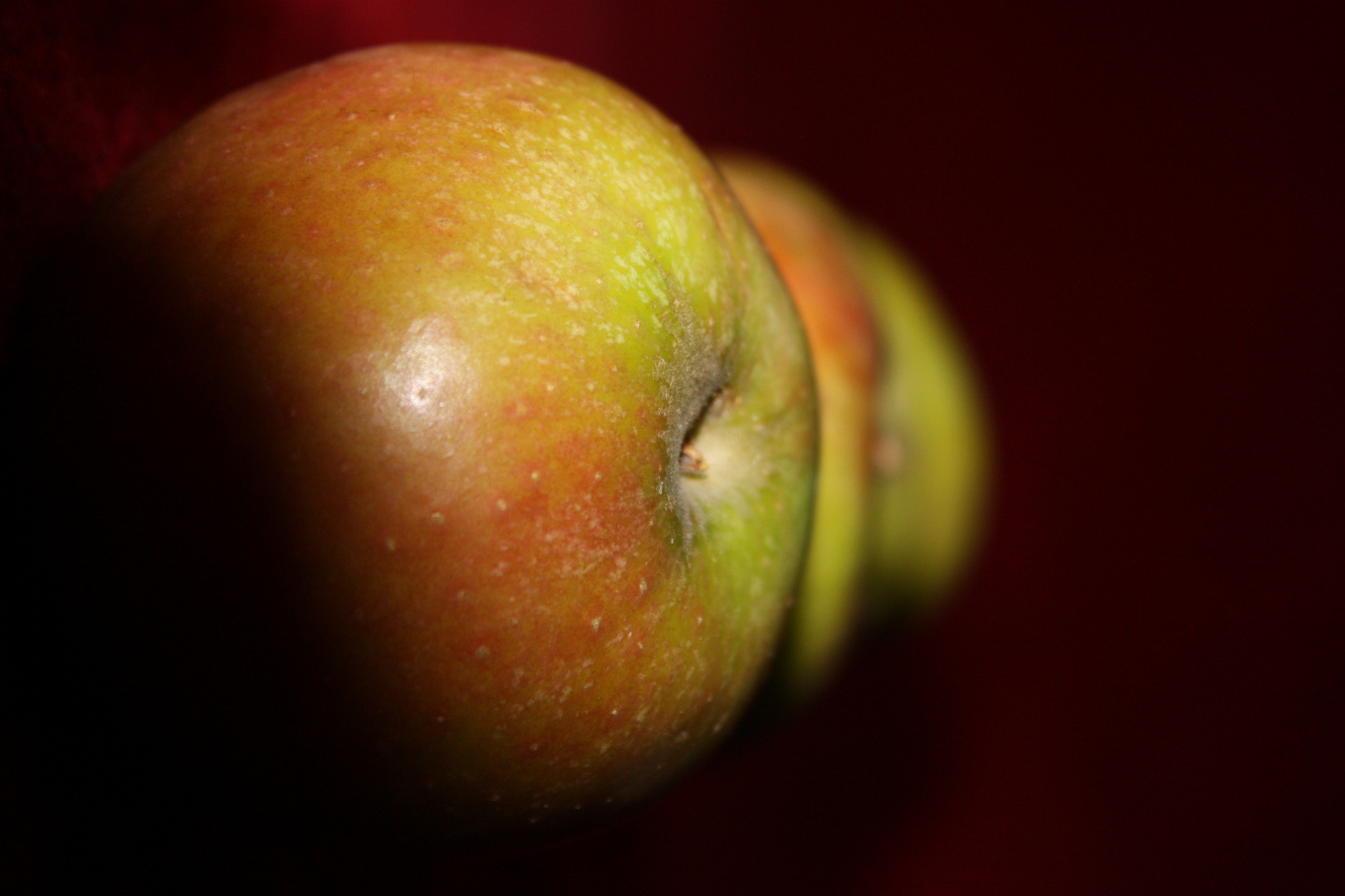 Die Frucht des Lebens