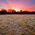 Die frühe Morgenstunde