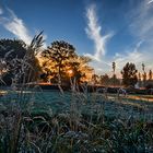 Die frühe Oktobersonne