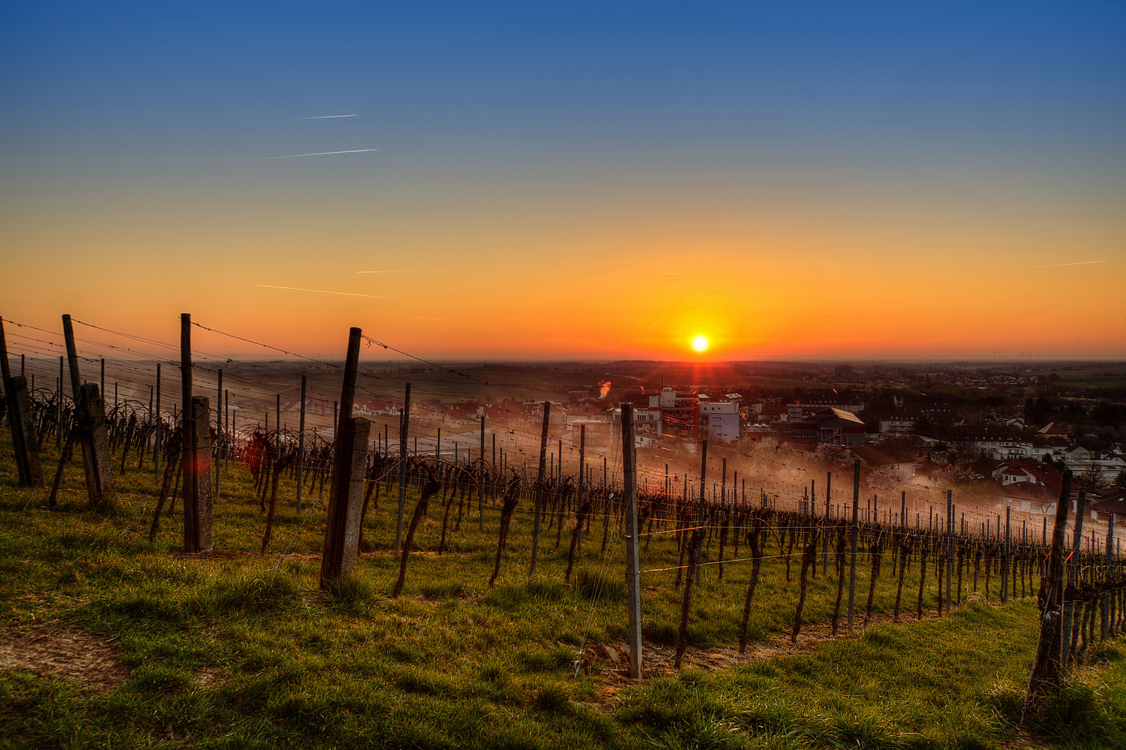 Die frühe Sonne