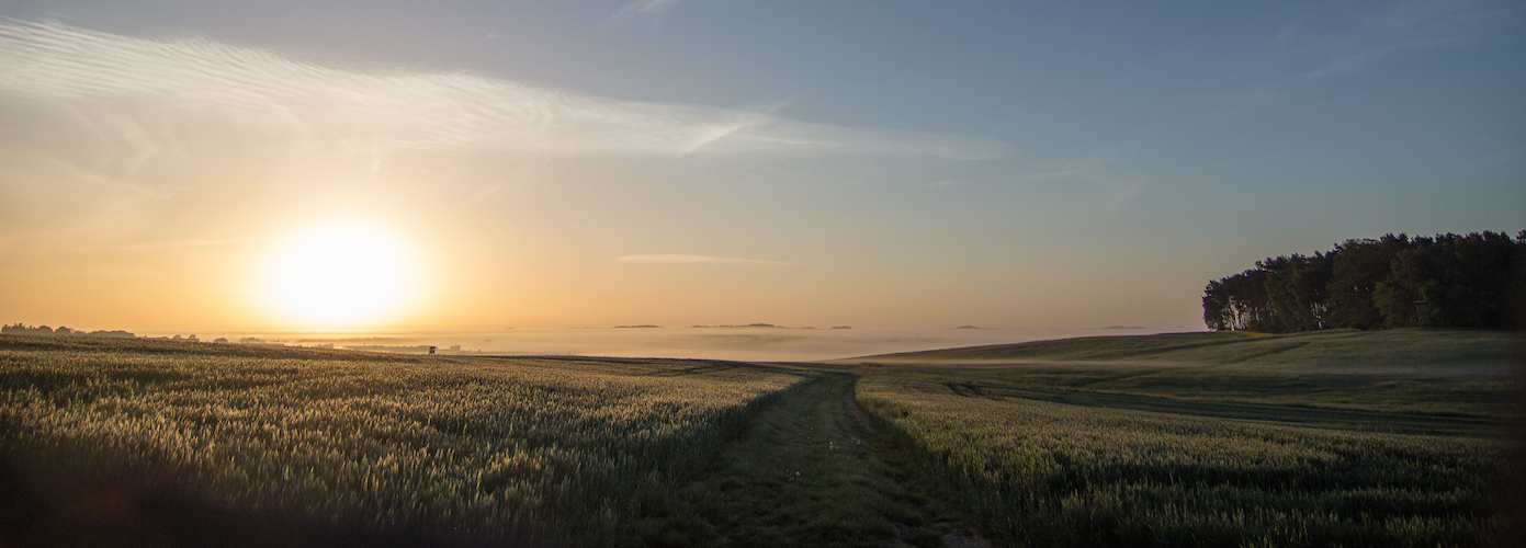 Die frühen Morgenstunden ...