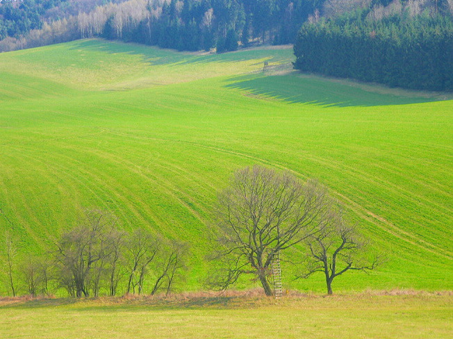 Die Frühling ist unser Hoffnung