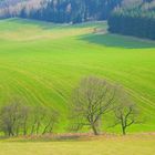 Die Frühling ist unser Hoffnung