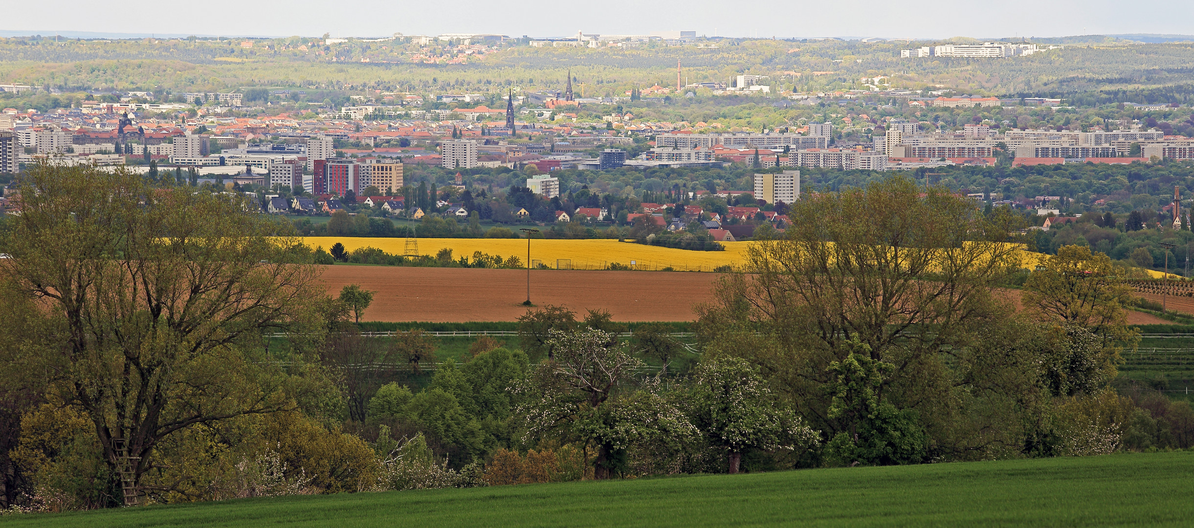 Die Frühlingsfarben reichen fast bis zur Sächsischen Landeshauptstadt...