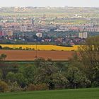 Die Frühlingsfarben reichen fast bis zur Sächsischen Landeshauptstadt...