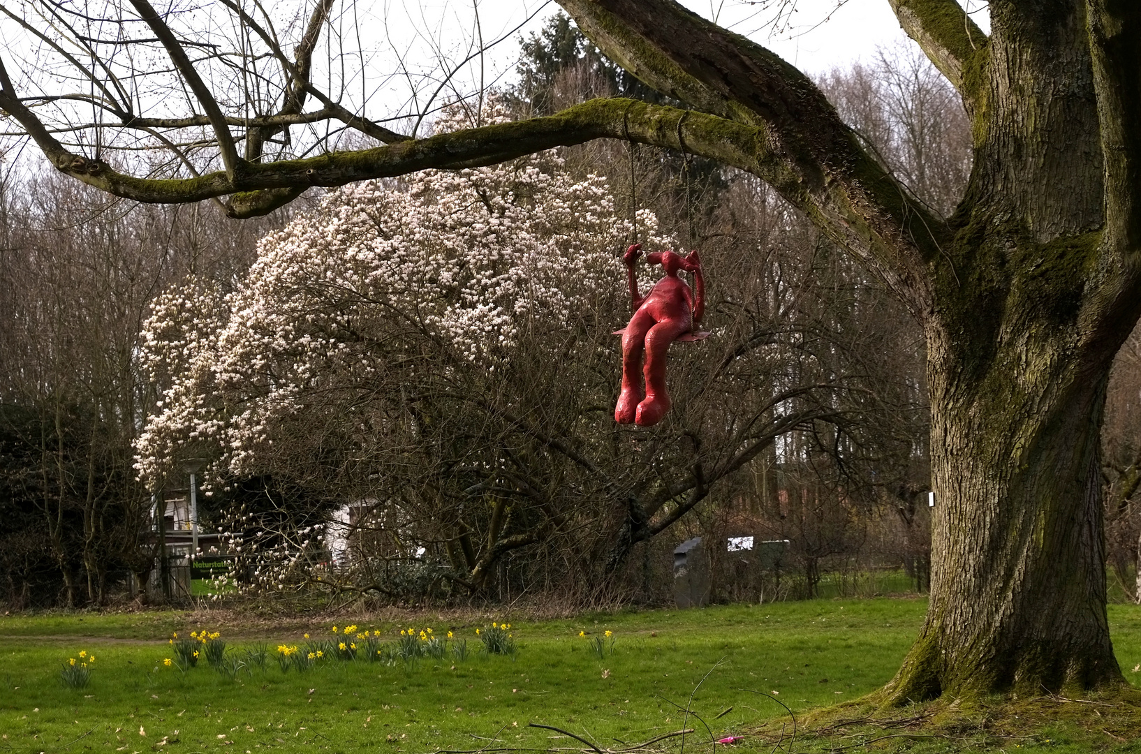 die Frühlingsschaukel