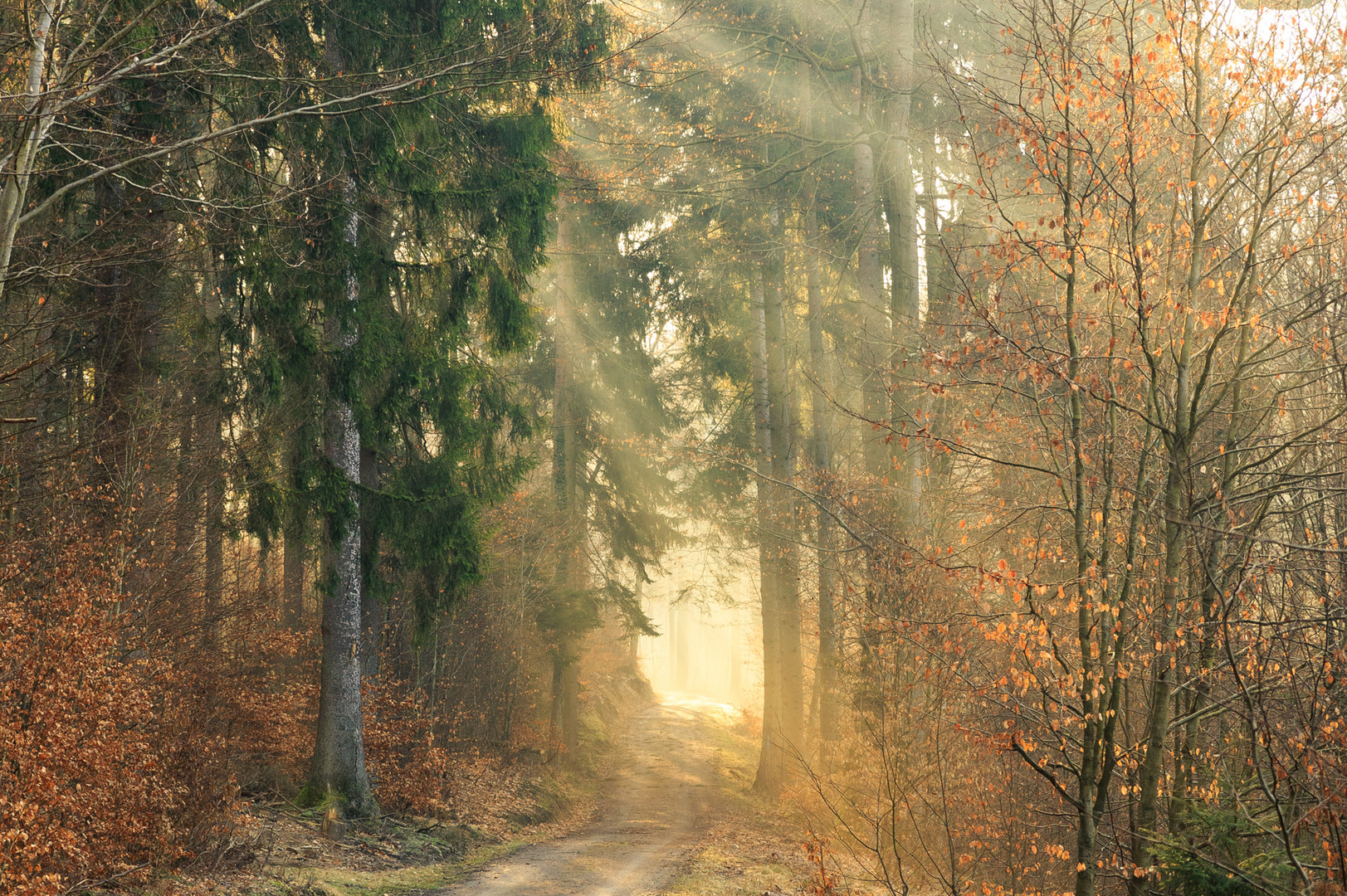  Die Frühlingssonne.