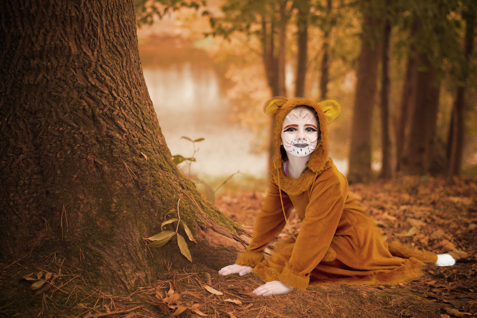 die Füchsin Foto & Bild fotos, wald, natur Bilder auf