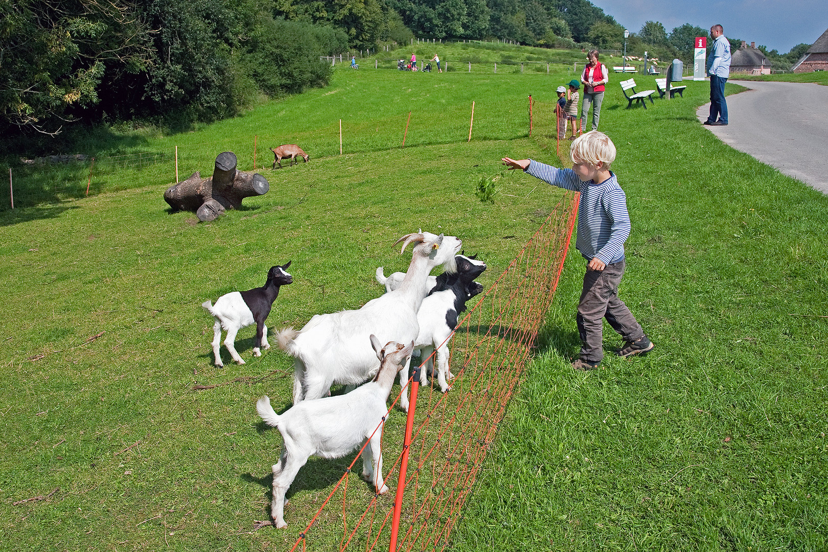 Die Fütterung der "Raubtiere"