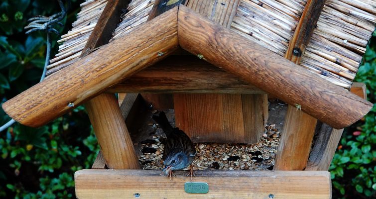 die Fütterungs-Saison hat bei uns begonnen