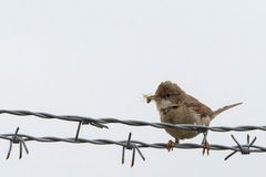 Die Fütterungszeit hat begonnen