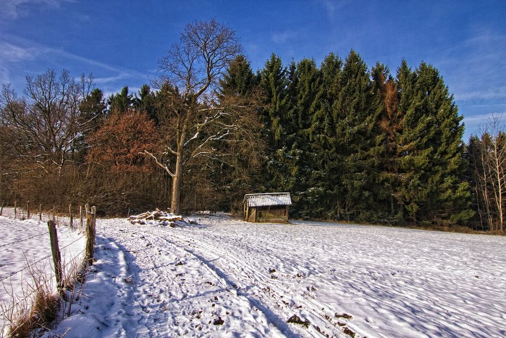 Die Futterhütte 