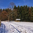 Die Futterhütte 