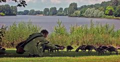 Die Gänseflüsterin