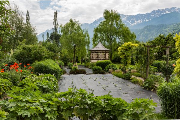 Die Gärten der Palazzi im Spaniolenviertel