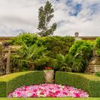 Die Gärten von Hever Castle (Kent, UK)(2)