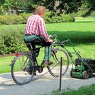 die Gärtner im Schönbrunner Schlosspark sind sehr mobil