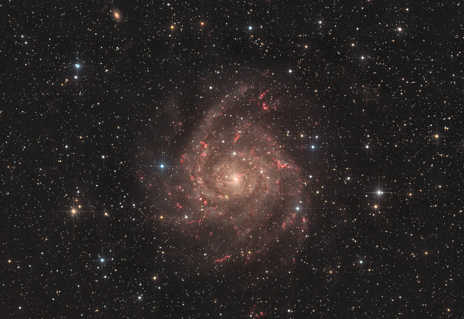 Die Galaxie IC342 im Sternbild Camelopardalis