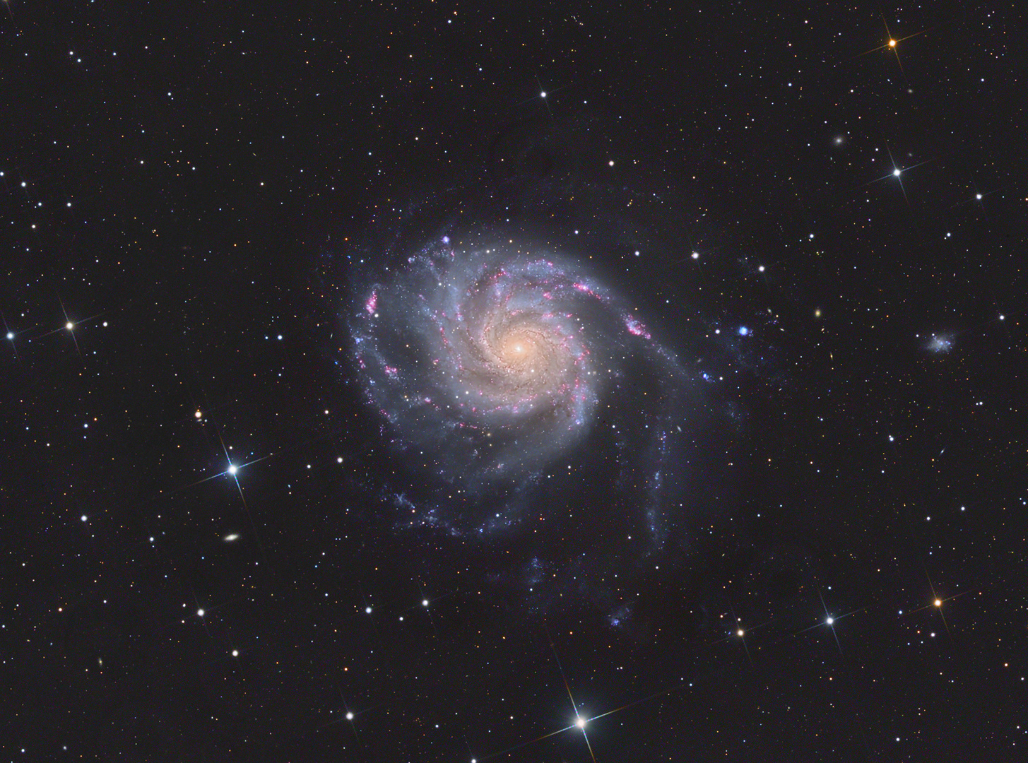 Die Galaxie M101 im großen Bären