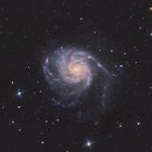 Die Galaxie M101 im großen Bären