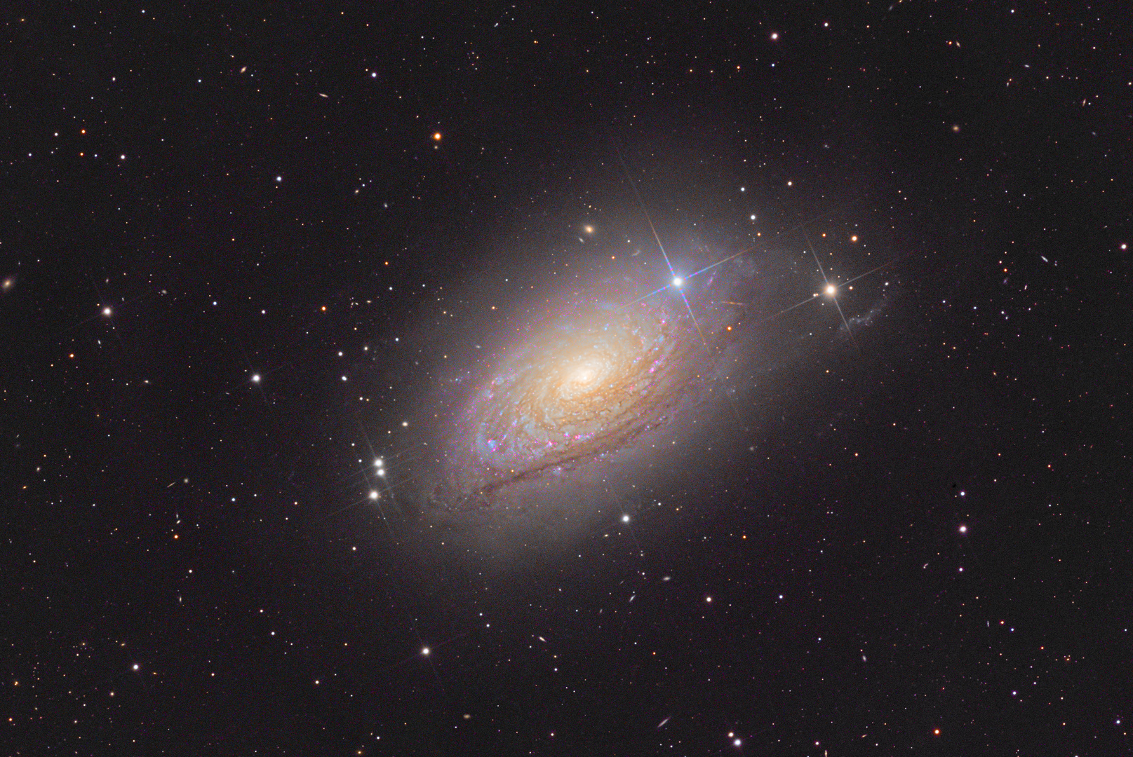 Die Galaxie M63 im Sternbild Canes Venatici (Jagdhunde)