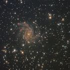 Die Galaxie Ngc 6946