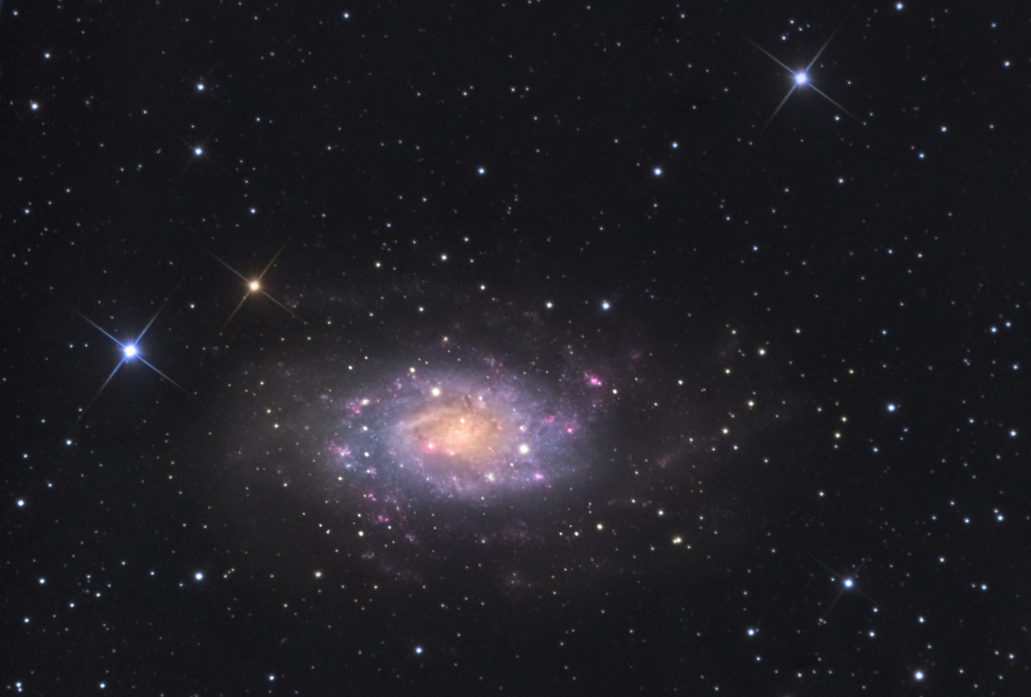 Die Galaxie NGC2403 im Sternbild Giraffe