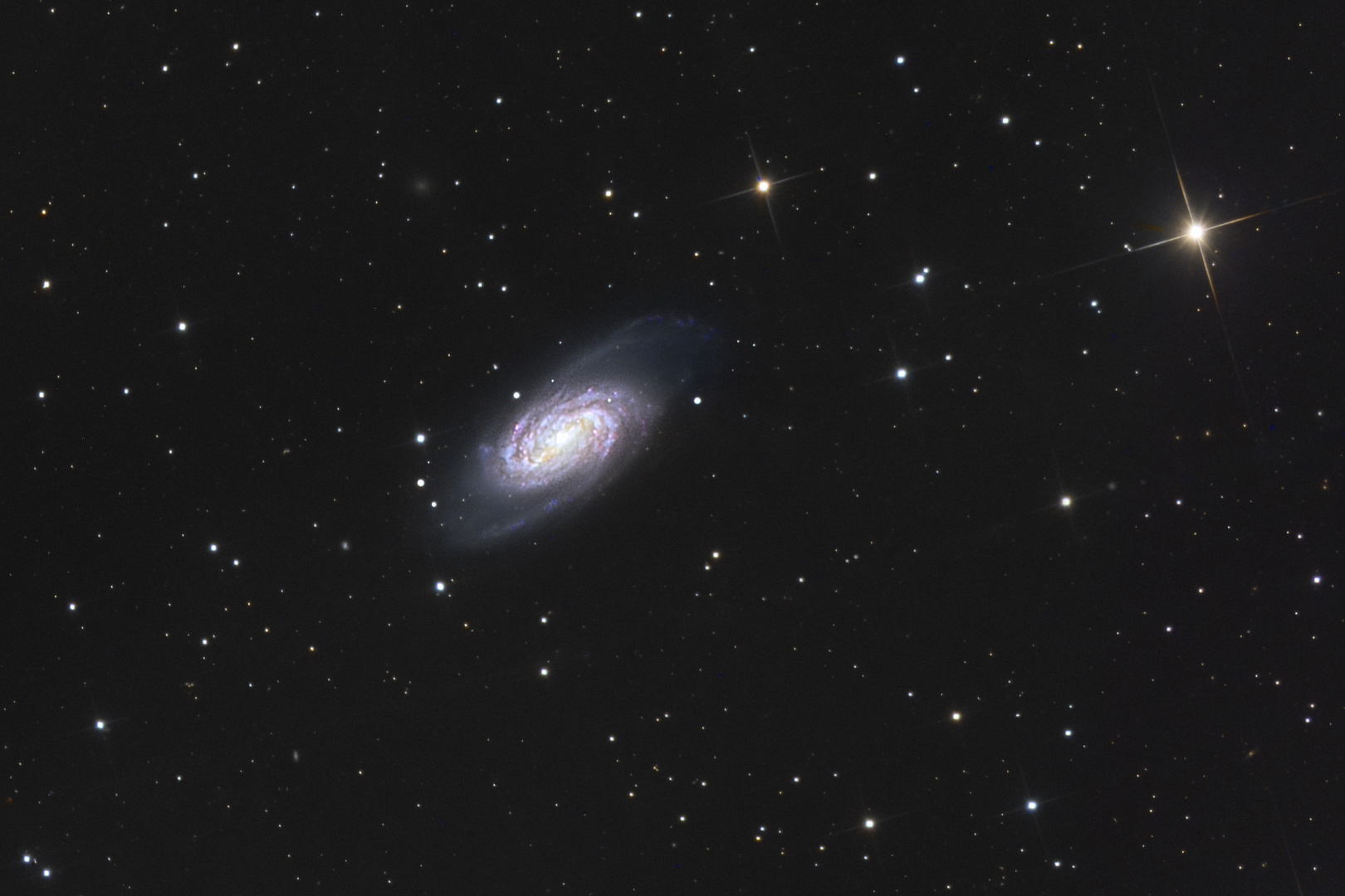 Die Galaxie NGC2903 im Sternbild Löwe