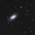 Die Galaxie NGC2903 im Sternbild Löwe