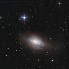 Die Galaxie NGC3521 im Sternbild Löwe
