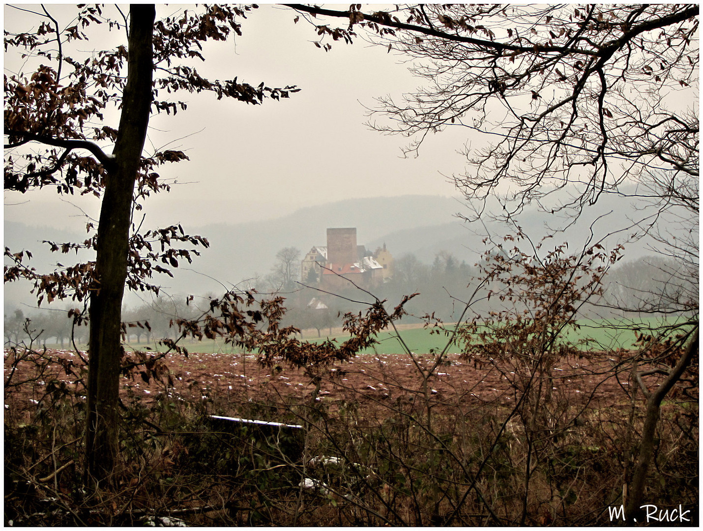 Die Gamburg von der Höhe aus gesehen ,