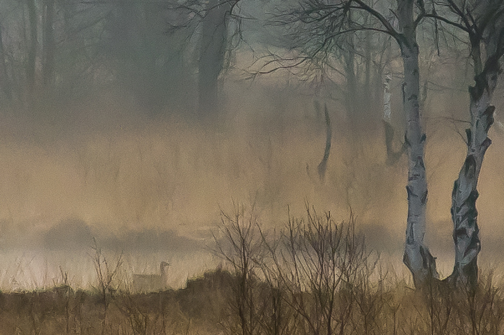 die Gans im Moor