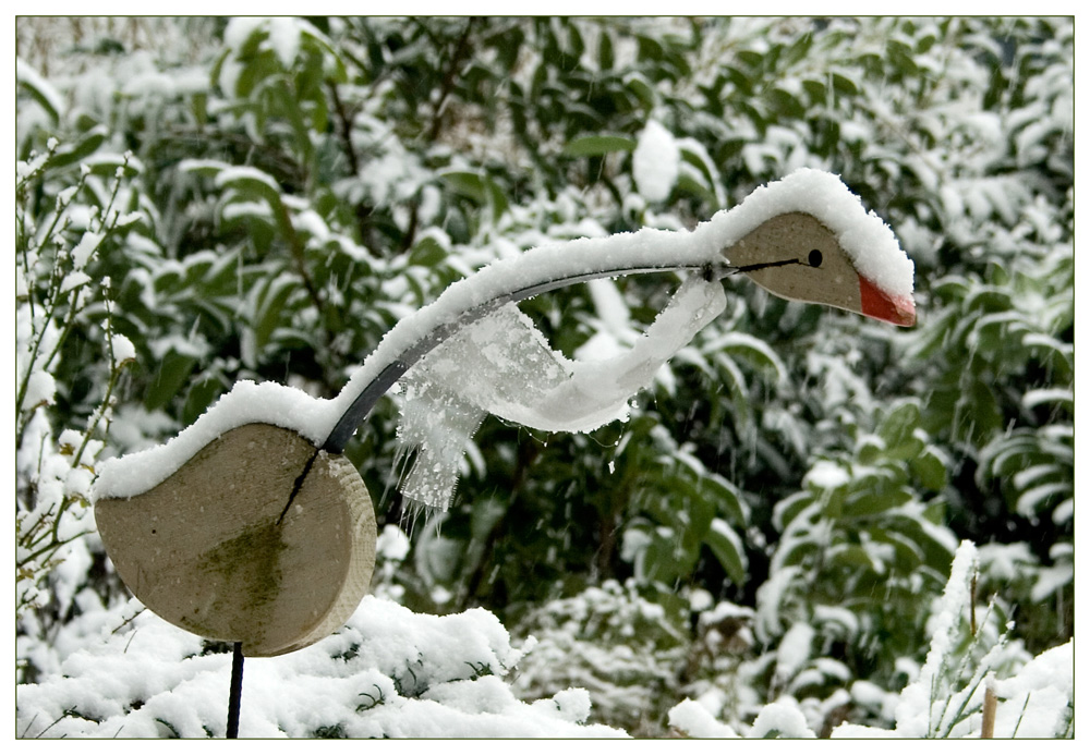 Die Gans im Schnee...