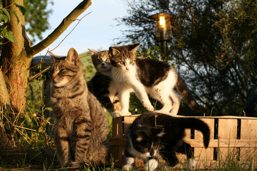 Die ganze Familie (Vater unbekannt) ;-)