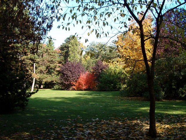 .....die ganze Farbenpracht des Herbstes!