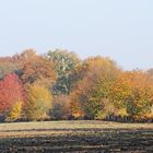 Die ganze Palette des Herbstes