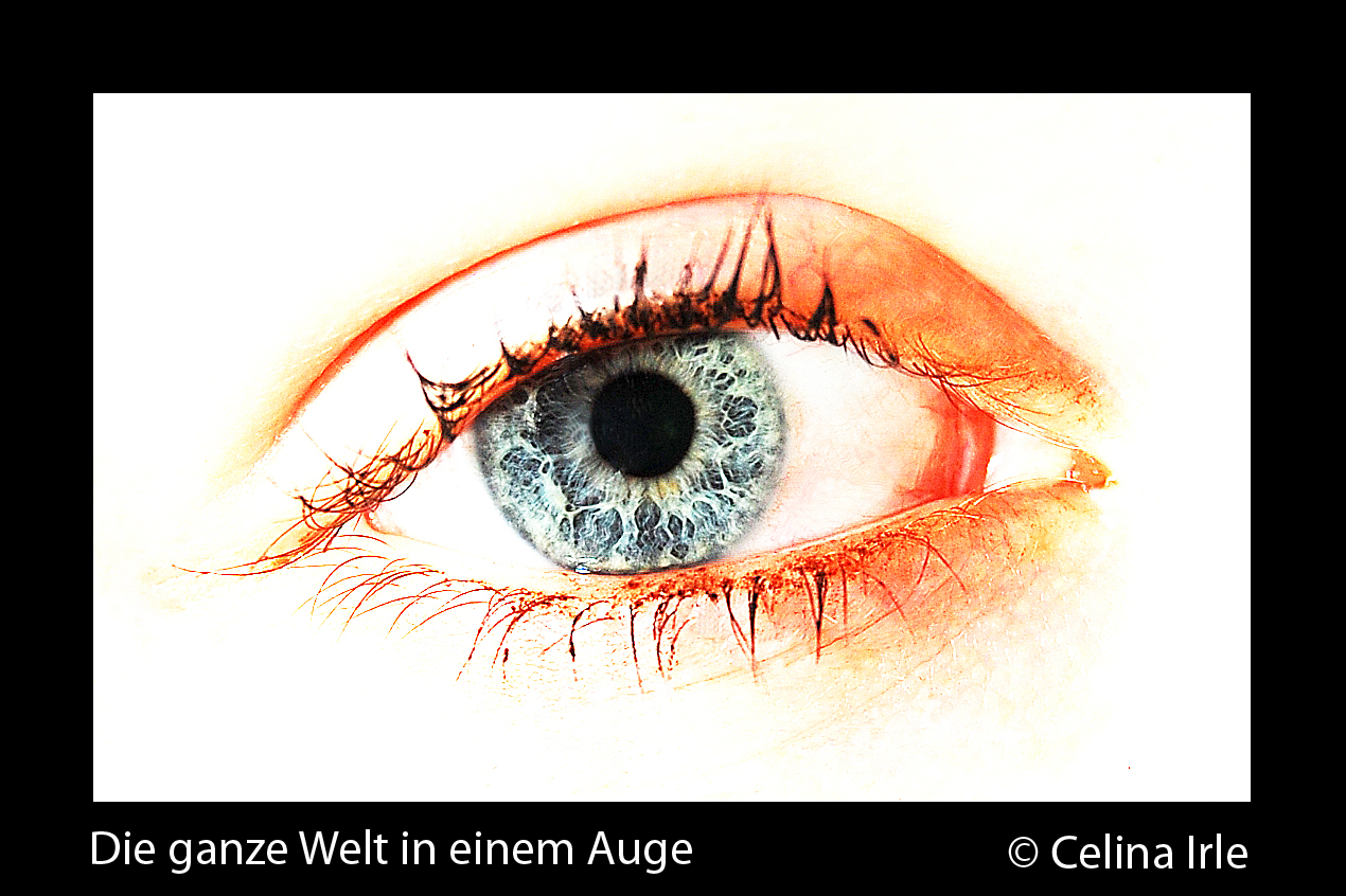 Die ganze Welt in einem Auge