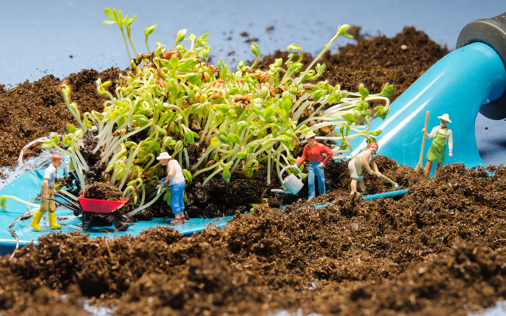 Die Gartenarbeit