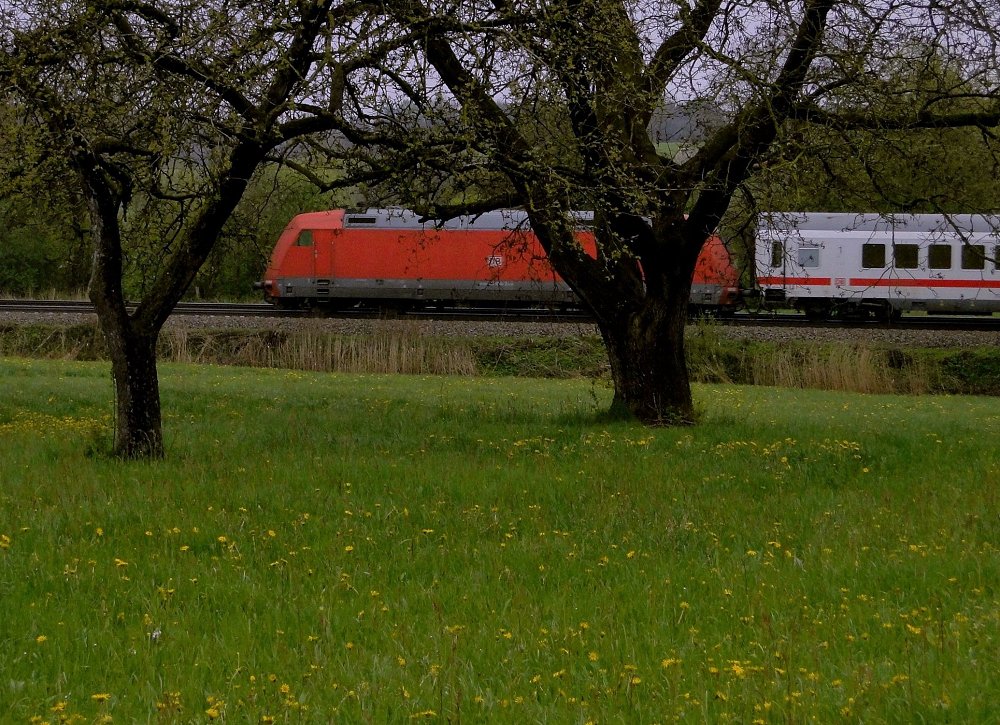 Die Gartenbahn im Haus-Garten