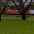 Die Gartenbahn im Haus-Garten